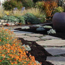 Drip landscaping
