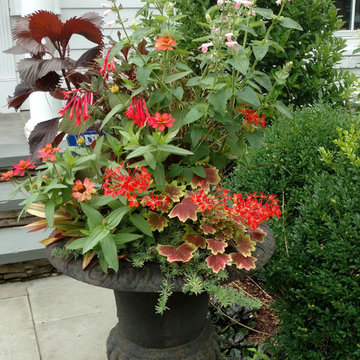 Fabulous Container Gardens
