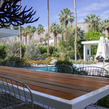 Palm Springs Outdoor Oasis