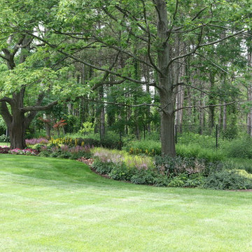 The Marten House