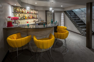 Basement - contemporary basement idea in Other