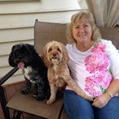 Sharon Baucom's photo