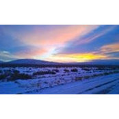 Ann Steele's photo