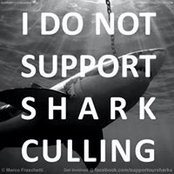 Kylie McGee's photo