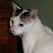 Cheryl Desker-Edwards's photo