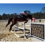 Foto von Honalee Stables