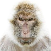 Ken Ulrich's photo