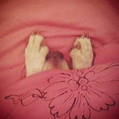 Cris Carreño's photo
