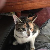 Larry Whaley's photo