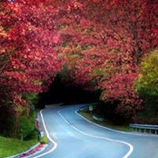 Tim Pham's photo
