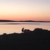 Danielle Collins's photo