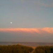 Margie Ruddick's photo