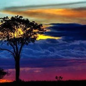 Luis Peralta's photo