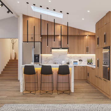 Contemporary House