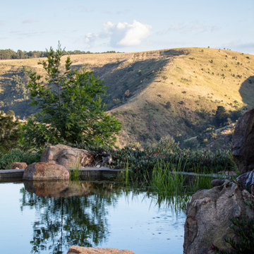Natural Swimming Pools