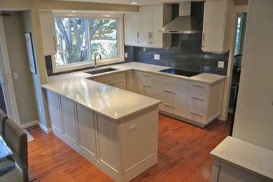 Example of a minimalist kitchen design in Calgary