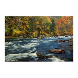Autumn Along Tinicum Creek - Products