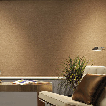 Screen & Roller Shades