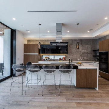 Studio City, New Construction Home