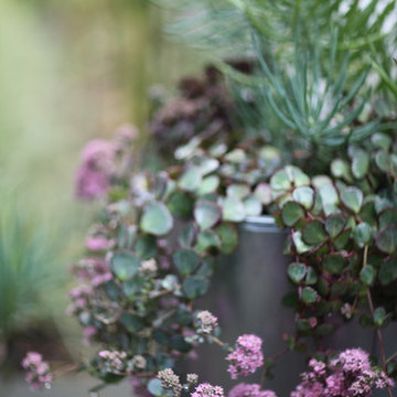 Broadview Garden