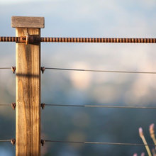 Fence