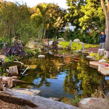 Water Features