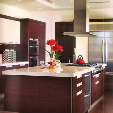 Dark Walnut and High Gloss Lacquer Contemporary Kitchen