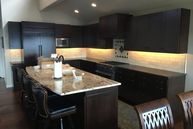 Inspiration for a kitchen remodel in Other
