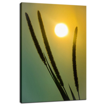 Silhouettes in Sunset Botanical, Nature Photo Canvas Wall Art Print, 12" X 16"