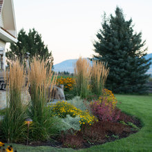 Yard/garden