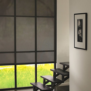 Custom Window Shades