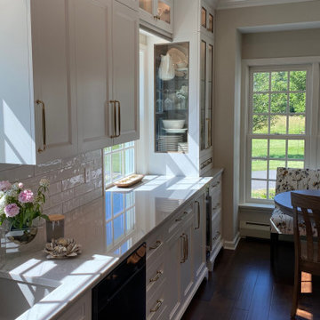 Elegant kitchen in white