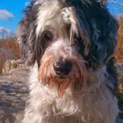 Steve O'Connor's photo