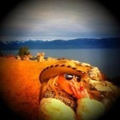 Kimmie Lane's photo