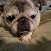 Shelia Cramer's photo