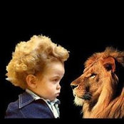 Il Lion's photo