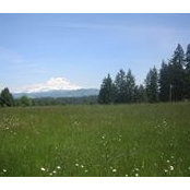 Diane Unsworth's photo