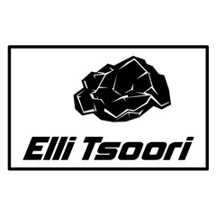Elli Tsoori LLC