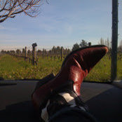 Lori MBs foto