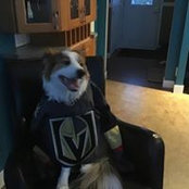 Jean Daniel Chabot's photo