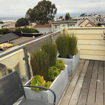 San Francisco Penthouse & roof garden