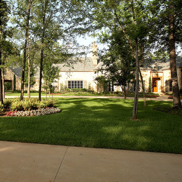 Woods of Castle Ridge