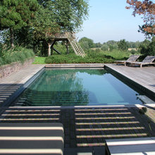 681 Pool