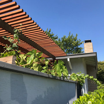 Patios & Fencing