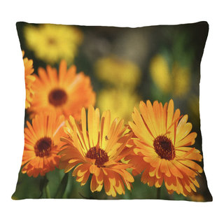 Designart Large Orange Gerbera on White - Floral Throw Pillow - 18x18