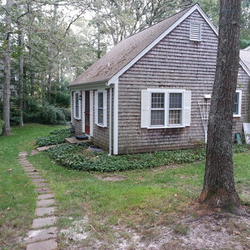 Complete yard renovation