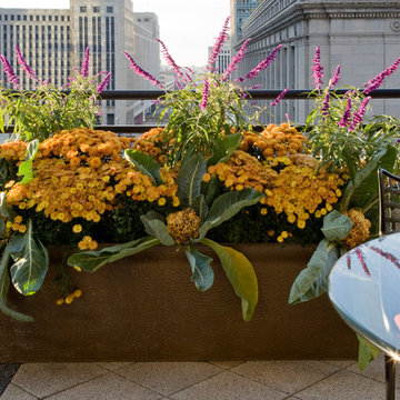 Chicago Roof Garden