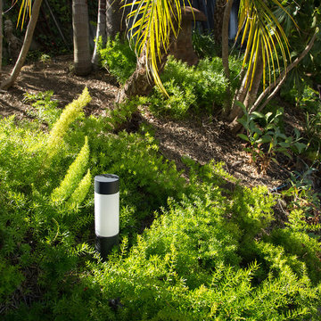 Home & Garden Collection