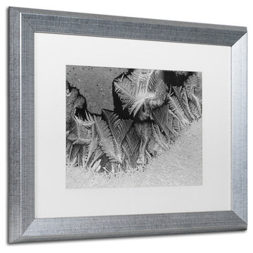 Kurt Shaffer 'Window Frost Pattern 1' Art, Silver Frame, White Matte, 20"x16"