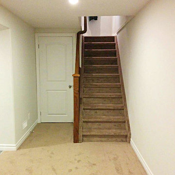 Plush Carpet Stairs with Oak Railing
